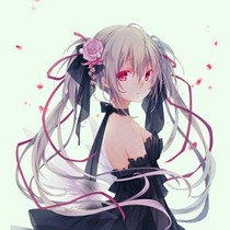 神秘公主。
