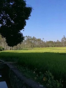 查理九世——死神的礼物