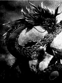 斗1之荒龙王