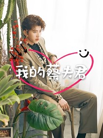 我的蔡夫君