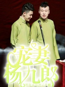 宠妻杨九郎