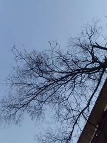 那个夏天遇见他真好
