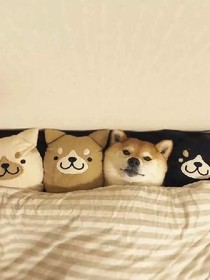 小明與小剛