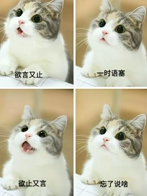 书名正在修改_1560409959805032280