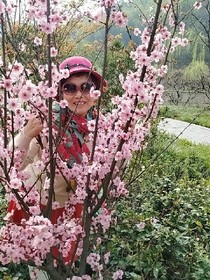 老婆的嘴，骗人的鬼