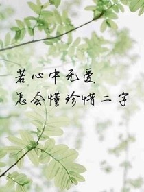 高中的时光
