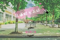 且道时光正好