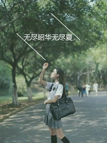 無盡昭華無盡夏