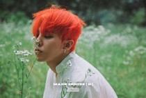 花開再會VIP