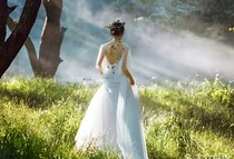 书呆傻妻的报复计划