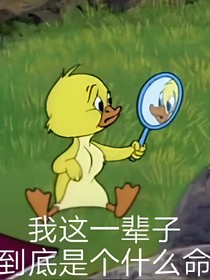 废话墙