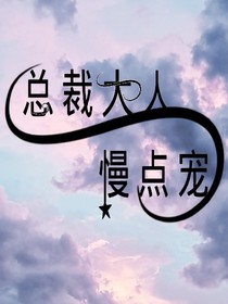 总裁大人，慢点宠