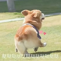 快穿：暧昧的我们