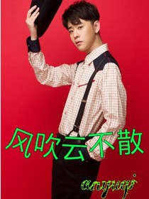 風(fēng)吹云不散——d881