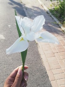 异界刀王