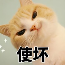 狗子