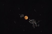 秋水揽星河
