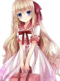鳶尾花之圖庫