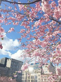 離別沒說再見