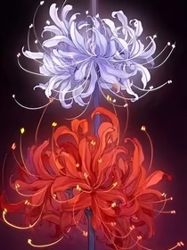 祈祷者的彼岸花