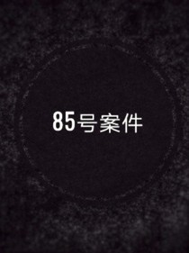 85号案件