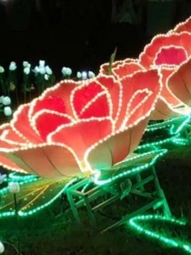 羅斗大陸上霍桐黑化了
