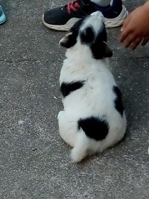女生头像。
