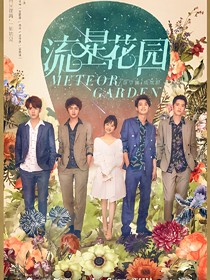 流星花園之五音