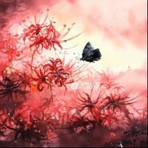 斗龙战士之蓝天画，你变了
