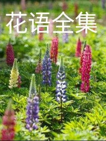 花语全集