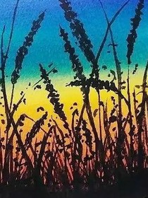 四大校花和四大校草