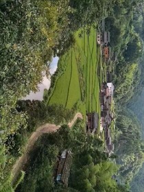 這世間