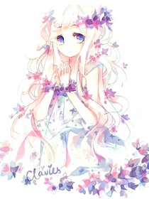 冰菊白