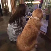 霸道总裁之爱上校花