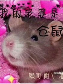 我的老婆是仓鼠