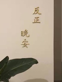 木棉若有情