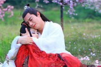 三生三世十里桃花花千骨續(xù)集