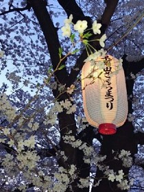 遇見你是我此生最幸運的事情
