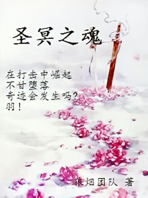 圣冥之魂