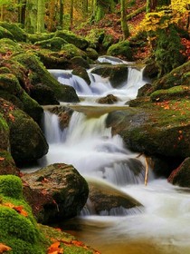 怪物大师之身世