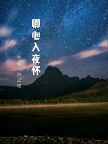 卿心入夜怀