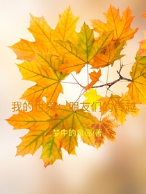 我的世界：朋友们的穿越