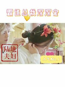霸道总裁深深宠（鹿迪）