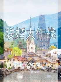 联婚大作战