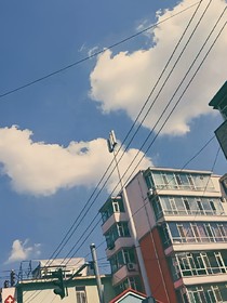 青春.進行曲
