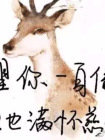 自由創(chuàng)