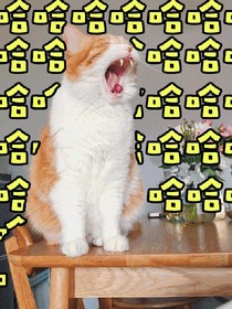 熊出没之光头强成大富翁。