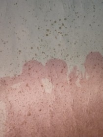 小风的苦生活