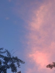 迷说-