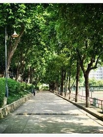 霸道同學(xué)戀上她